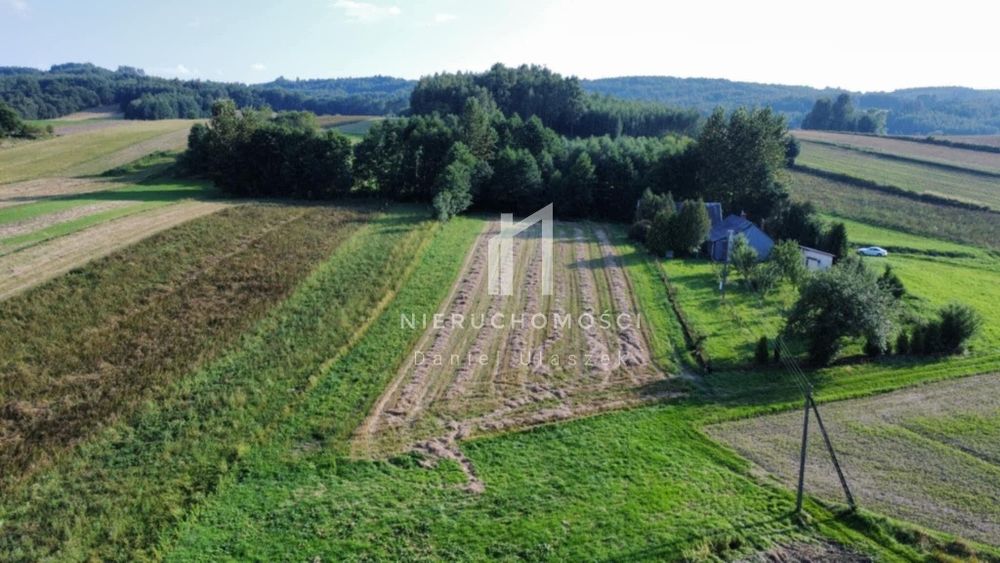 Sprzedam prywatną piękną działkę przy lesie w cichej spokojnej okolicy