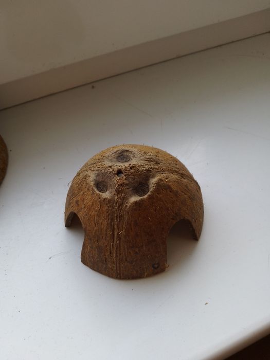 Кокосова шкаралупа