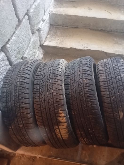 Шини R14 белшина