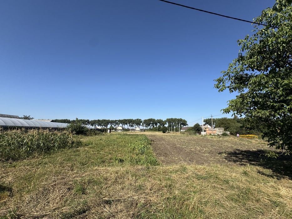 Продам ділянку в селі Гавришівка