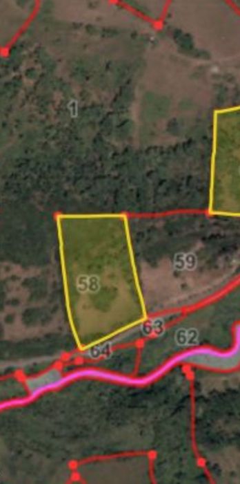 Venda ou Aluguer de Terreno rústico