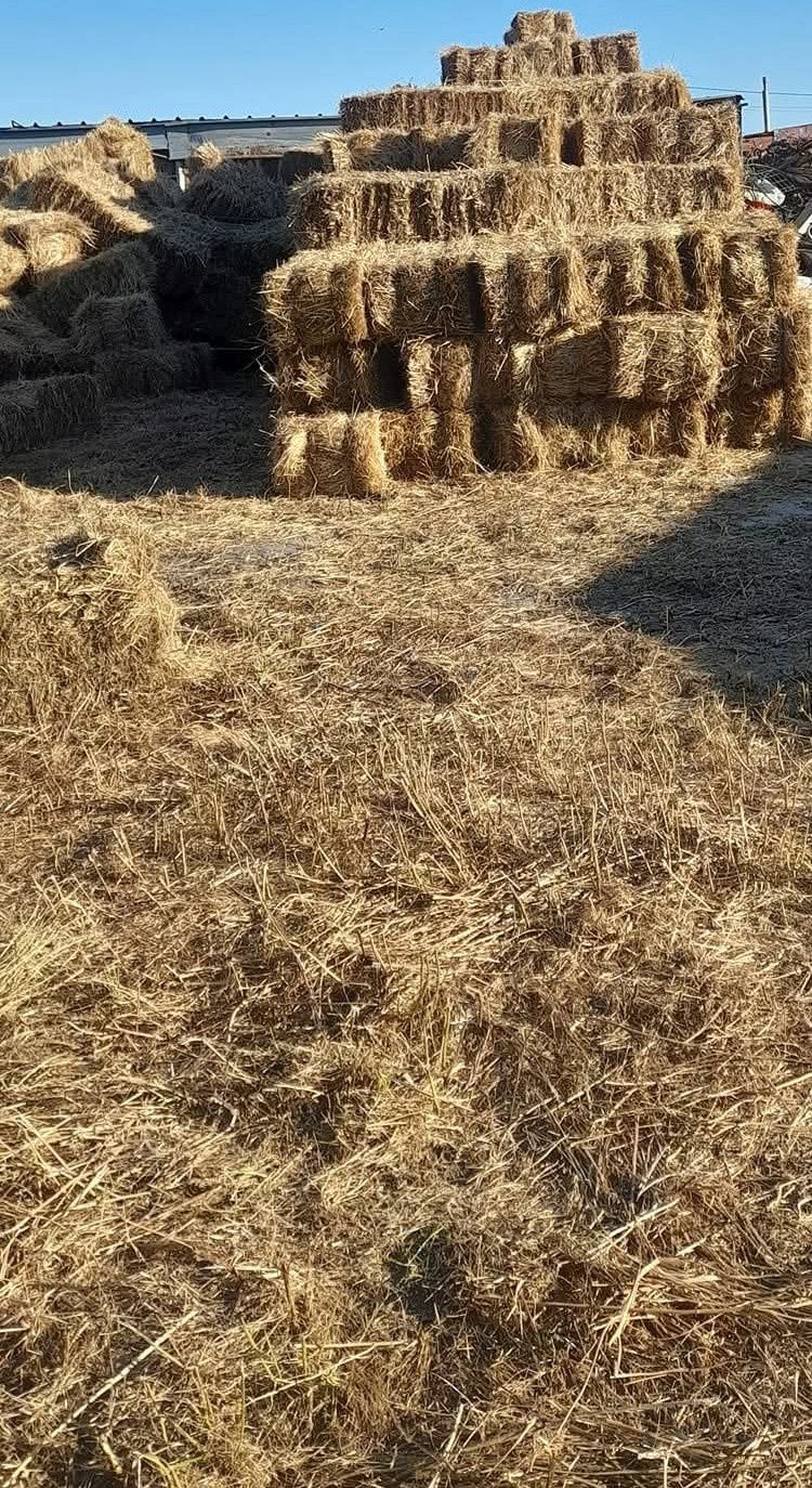 Vendo fardos de palha