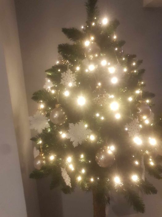 Choinka na pniu Polecam!