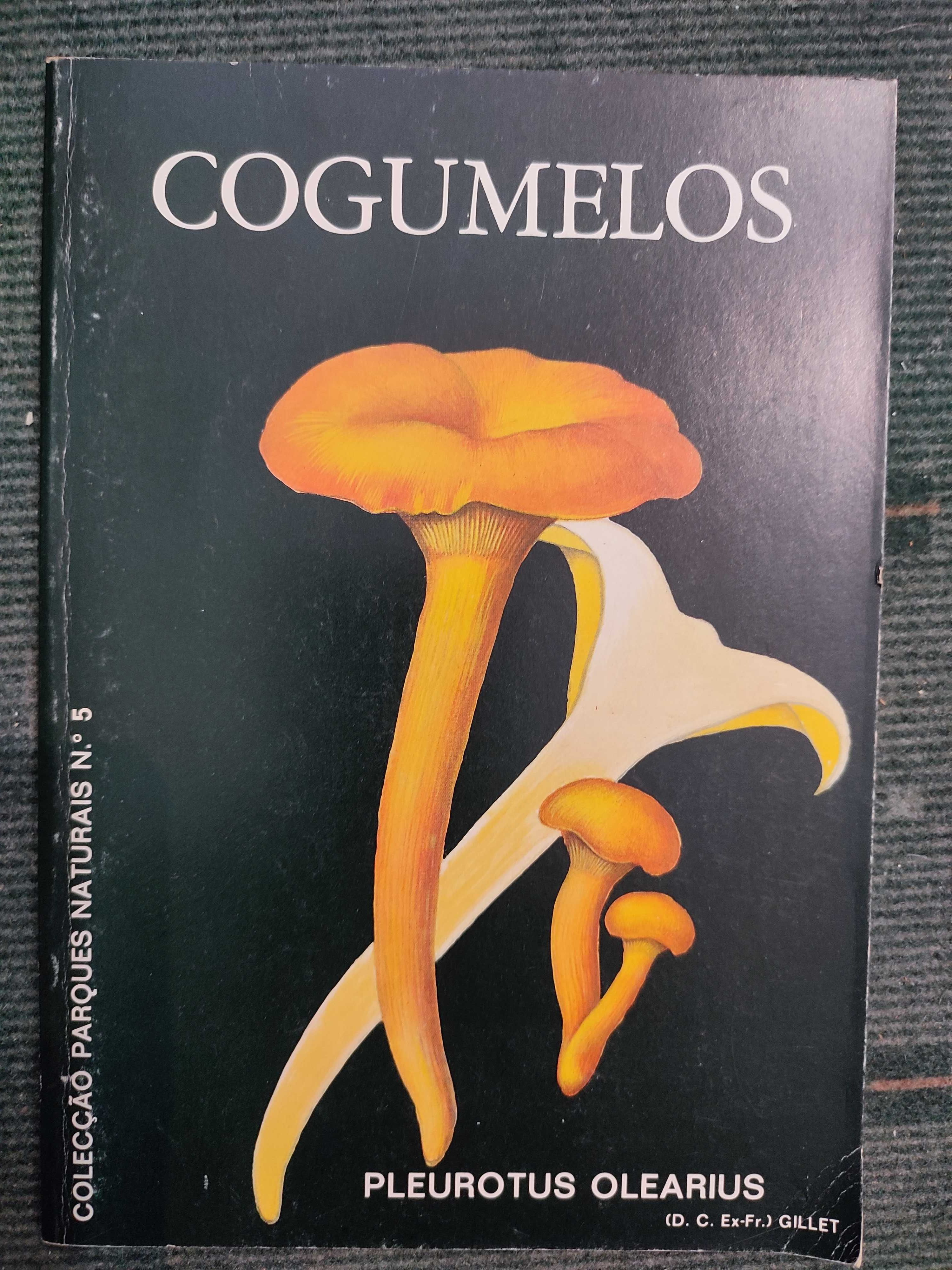 Cogumelos - Colecção Parques naturais Nº 5