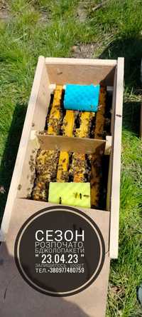 Бджолопакети. Пчелопакеты. Карпатка.( 1.05.2024р )