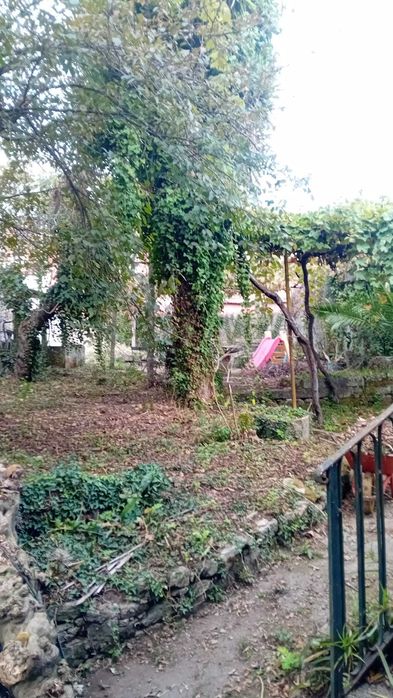 Quinta ao metro Nasoni