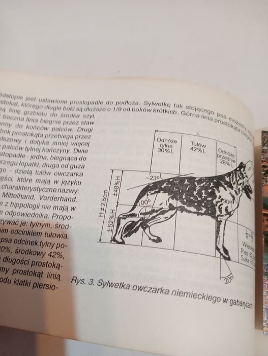 Owczarki niemieckie - M.Szymankiewicz