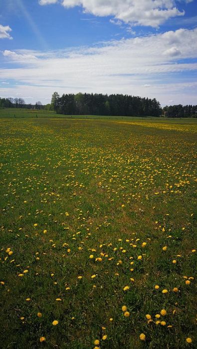 Działka budowlana Wólka k.Ruciane -Nida