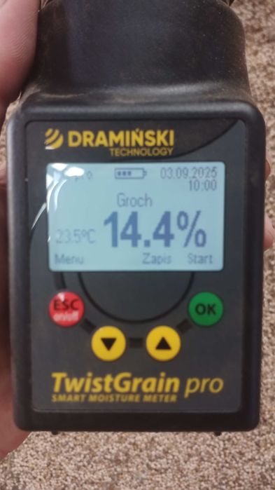 Groch, peluszka zbiór 2025