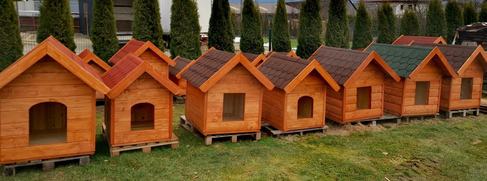 Buda dla psa budki na psa od wooddrew