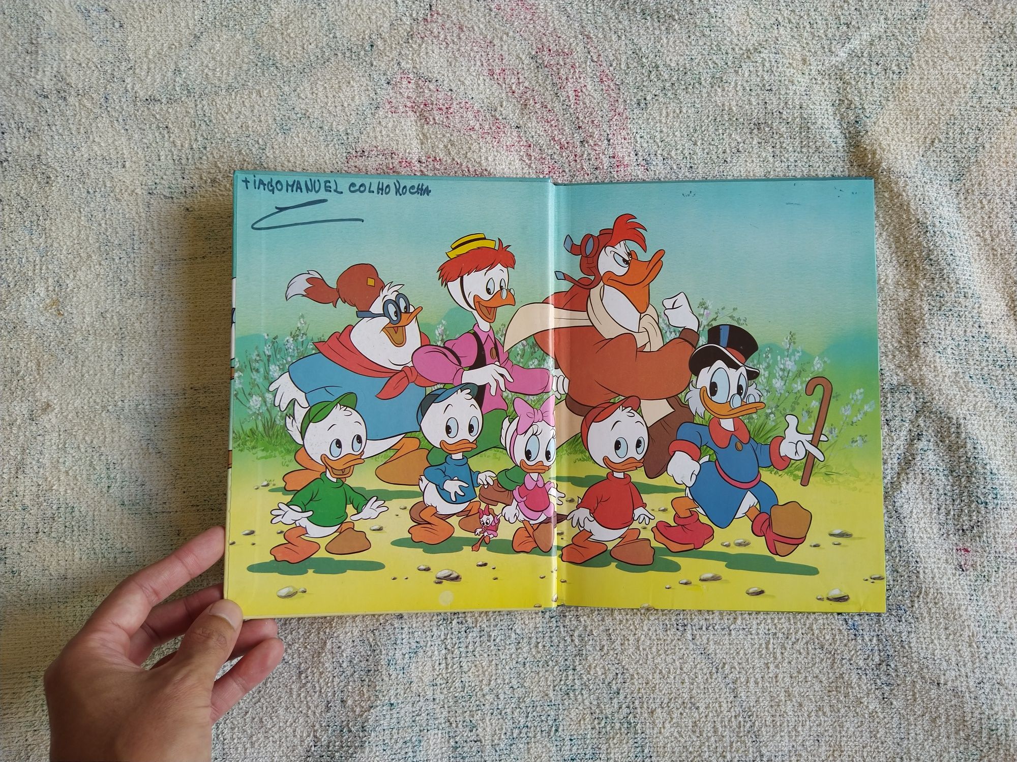 Livros Walt Disney