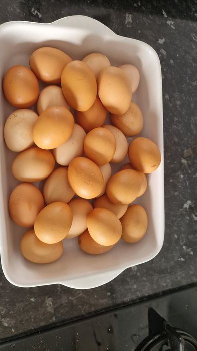 Ovos caseiros de boa qualidade.