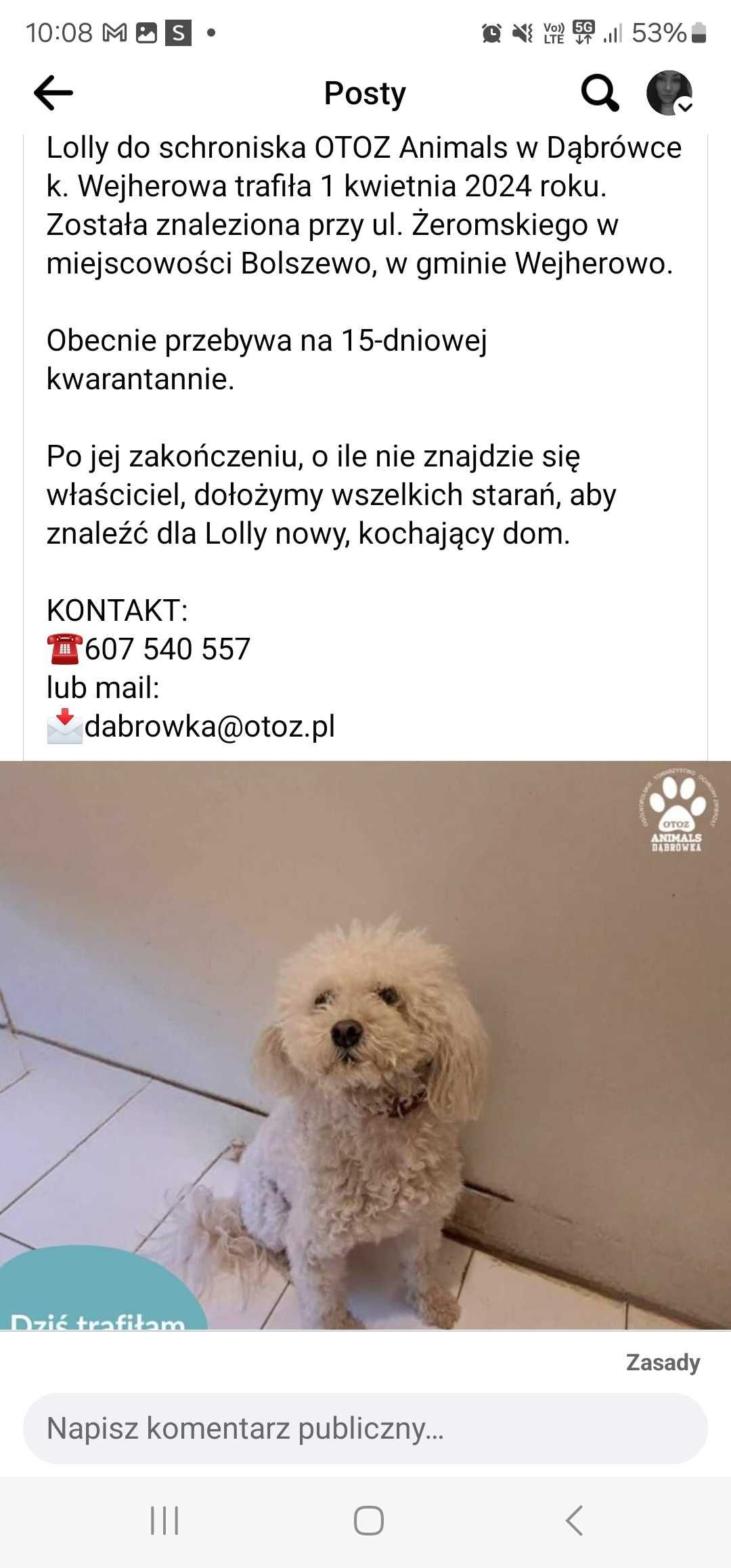 Suczka znaleziona w bolszewie