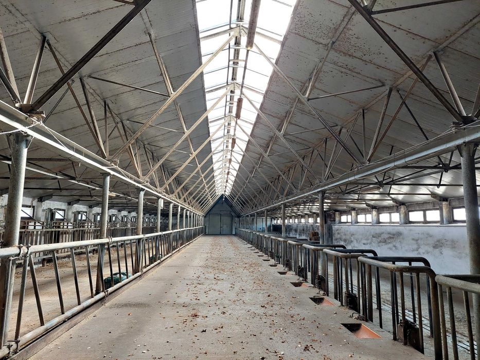 Łowicz, ul. Bolimowska - Wynajmę nieruchomość