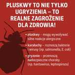 Pluskwy, prusaki, gryzonie – dezynsekcja z gwarancją