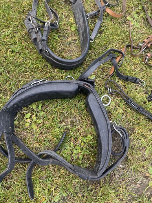 Uprzaz szory dla kucyka