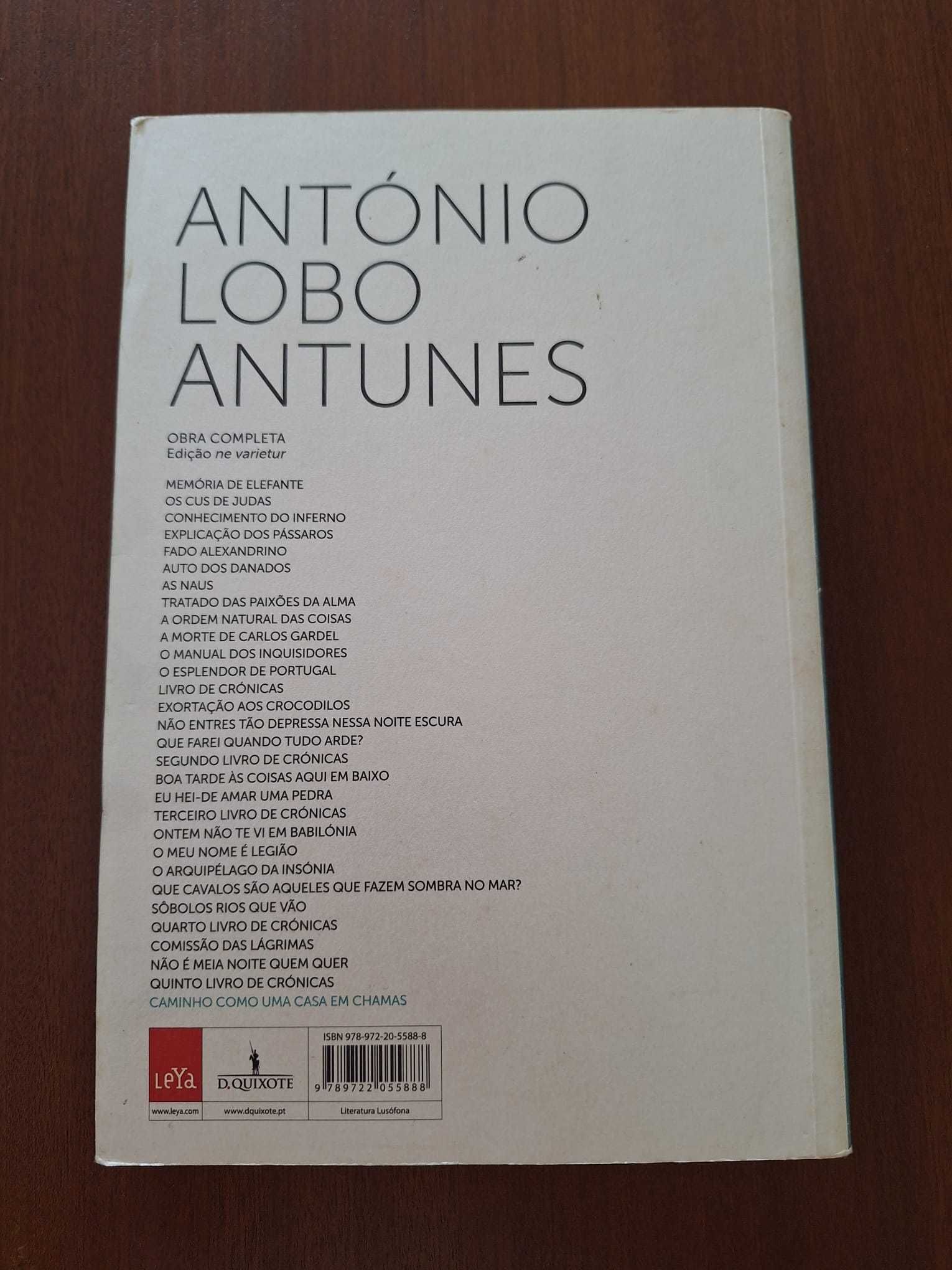 Livro - Caminho como uma casa em chamas de António Lobo Antunes