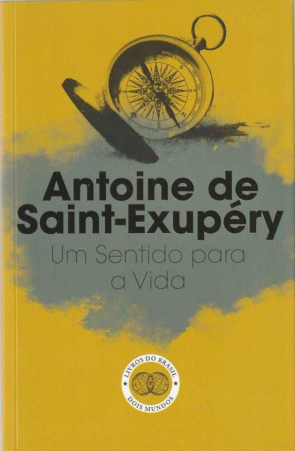 Um sentido para a vida-Antoine de Saint-Exupéry-Livros do Brasil