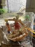 figura dragon ball