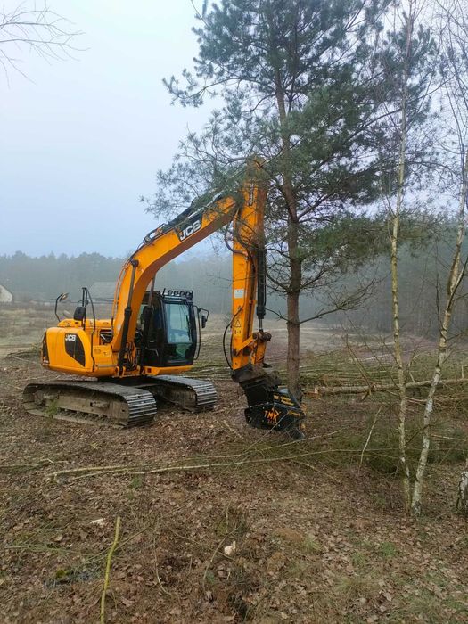 Wycinka drzew, sadów.  Czyszczenie działek.