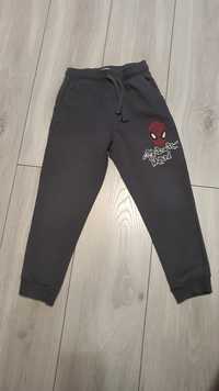 Spodnie dresowe Spiderman r. 116