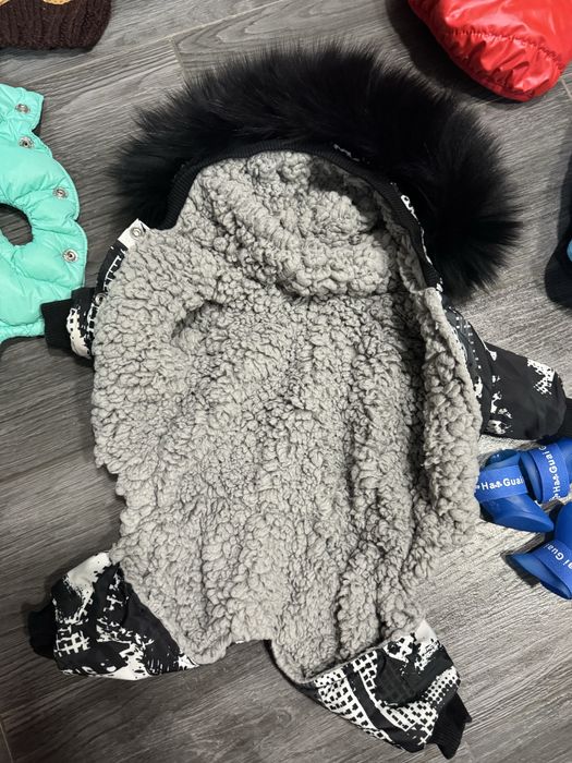 Речі для собак Puppy angel одяг для маленьких порід  20см спинка 25-30