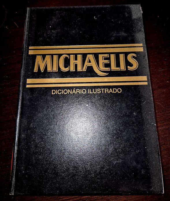Michaelis Dicionário Ilustrado Português-Inglês (bom estado)