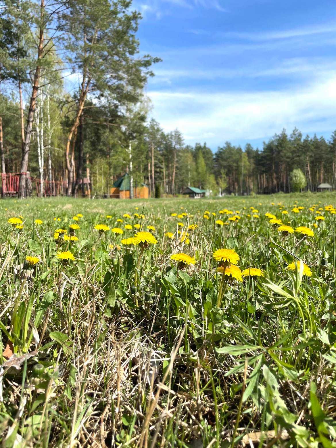 Глемпінг під Києвом оренда глемпів кемпінг Київська область