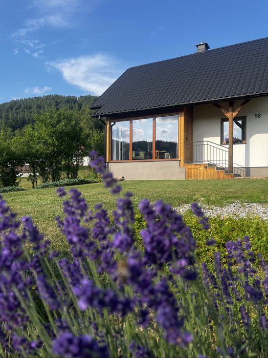 Lawendowy Hamak | Pieniny | Krościenko.