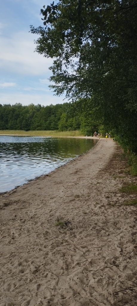 Domek bliski jeziora lasu mazury Piasutno pokoje do wynajęcia