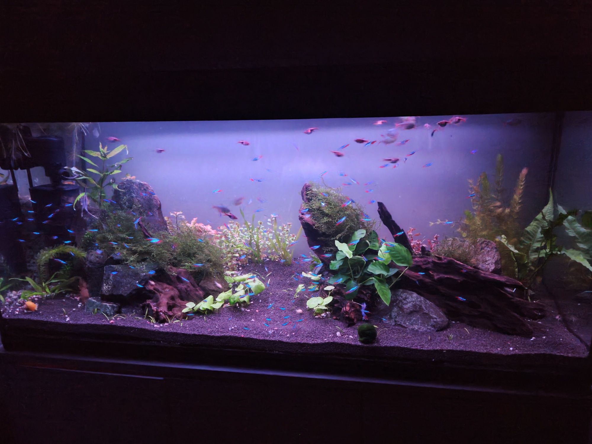 Pokrywa 120x40 z oświetleniem WRGB TC420 zasilacz wschód zachód