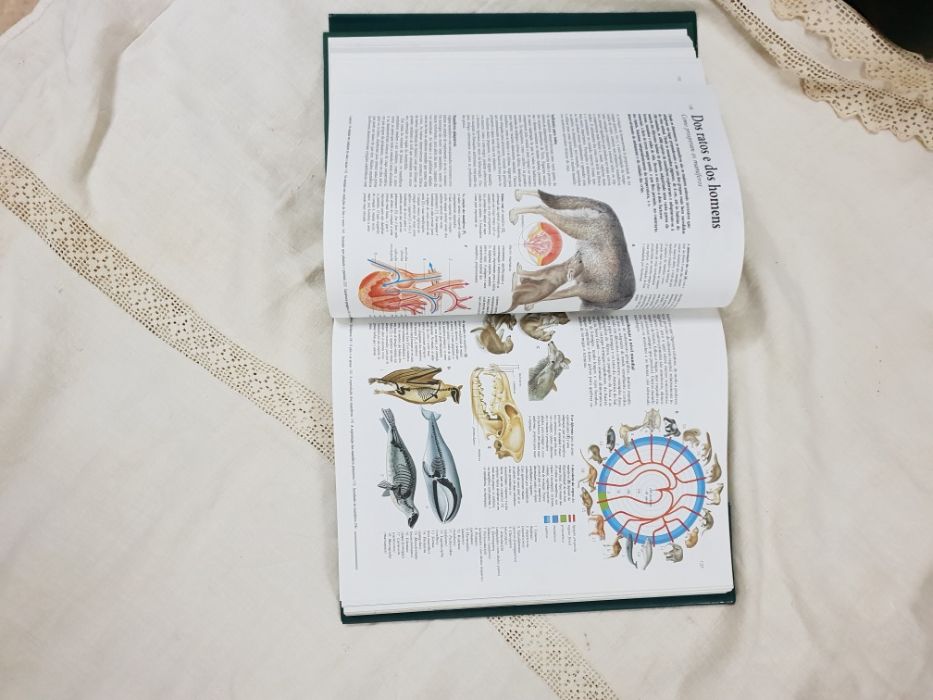 Livro "O grande livro da natureza" Temas e Debates