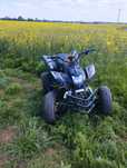 Sprzedam Bashan 250