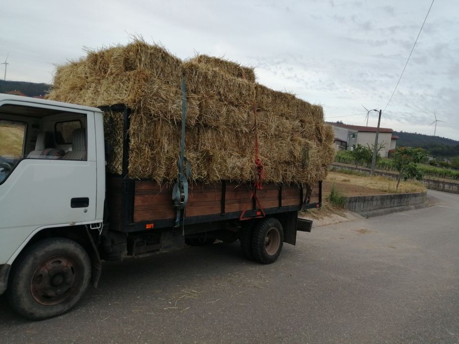Palha de feno/azevem e aveia