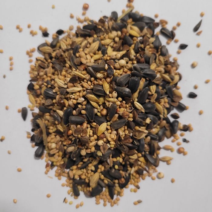 Słonecznik proso Sorgo 25kg mieszanka dla dzikich ptaków