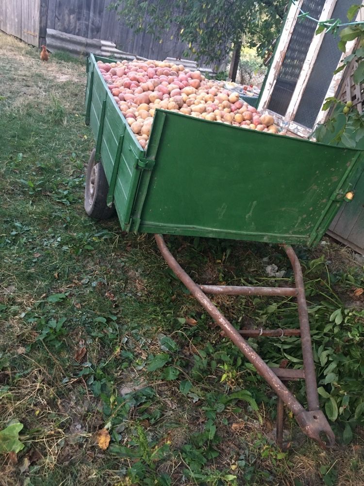 Продам Прицепа бортового для мотоблока ,трактора