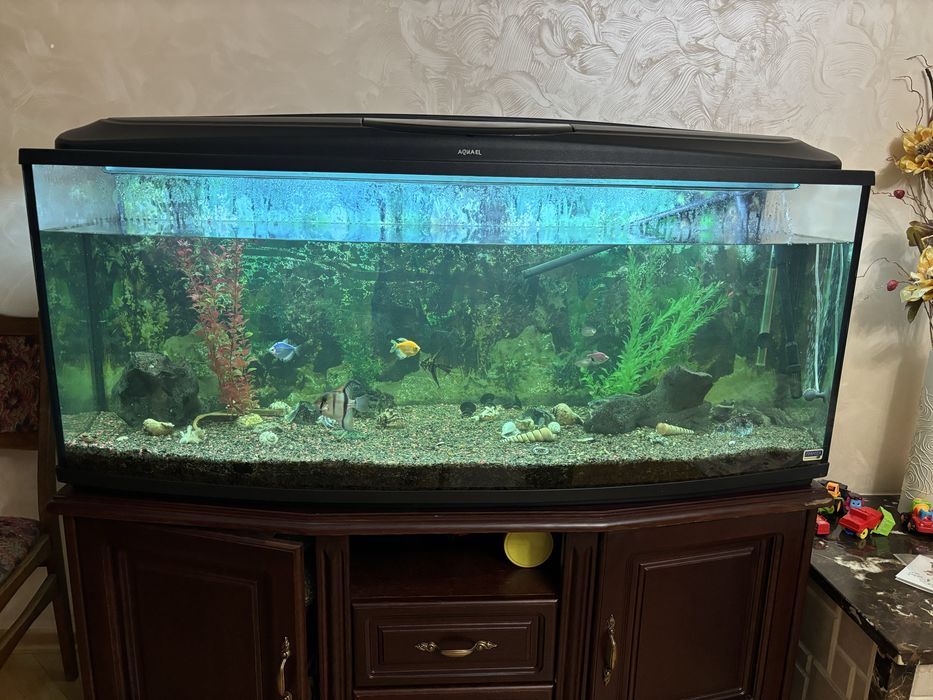 Акваріум 300л продам