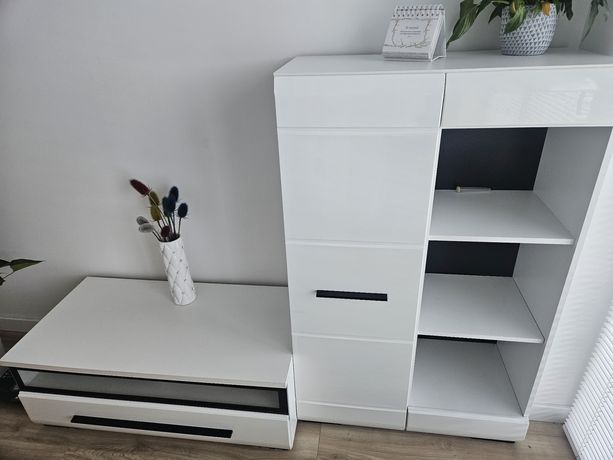Oddam szafkę pod tv oraz regał,BRW