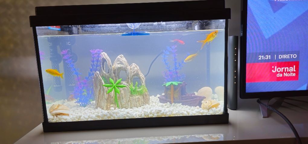 Aquário de 48L tudo resto