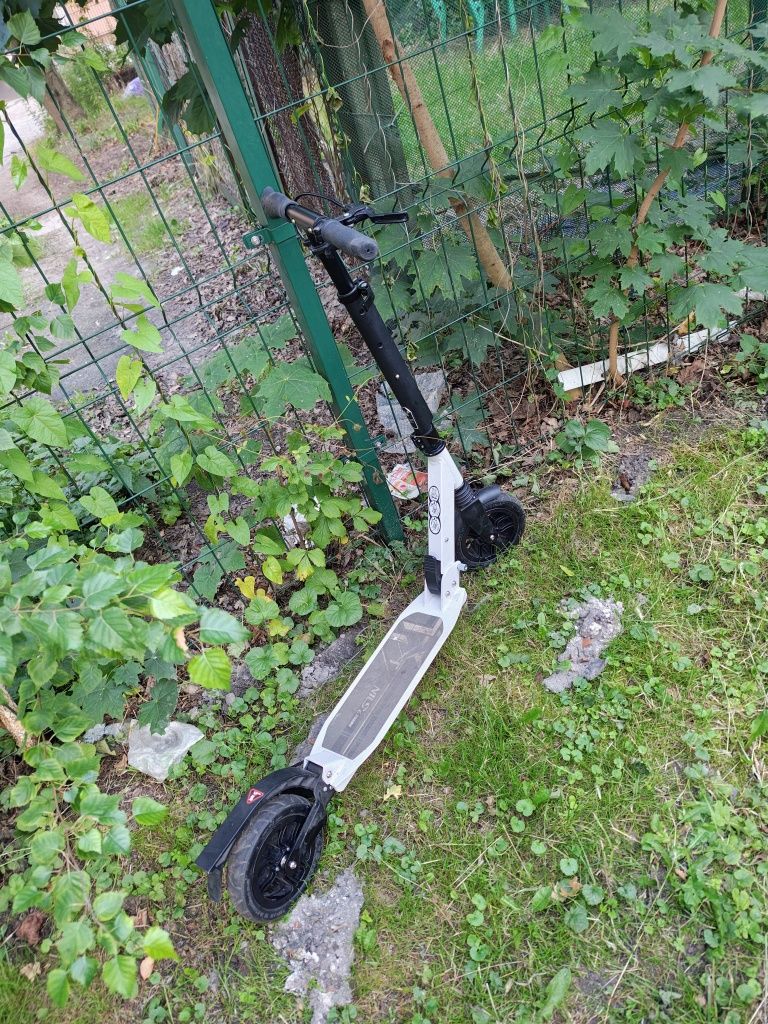 Hulajnoga Nils extreme HM208T