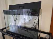 Aquael glossy 80 125L