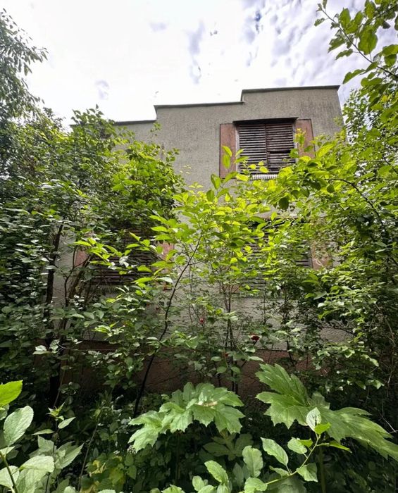 Дача, будинок біля лісу та річки