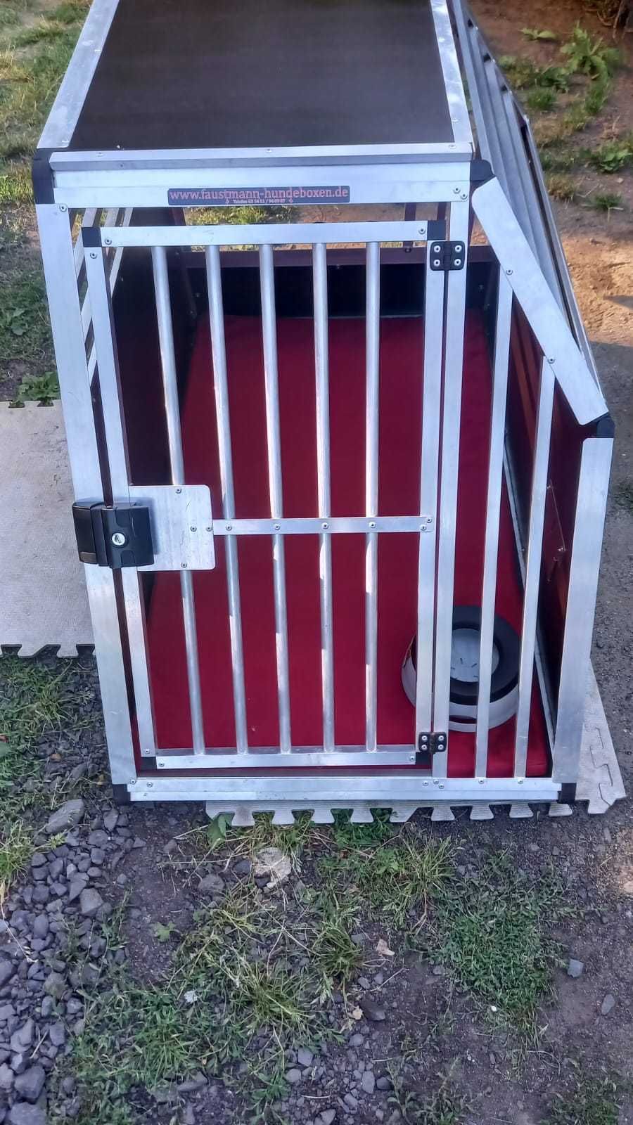 Transporter/box dla psa