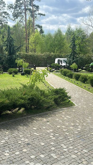 Продам дерев'яний будинок у сосновому лісі