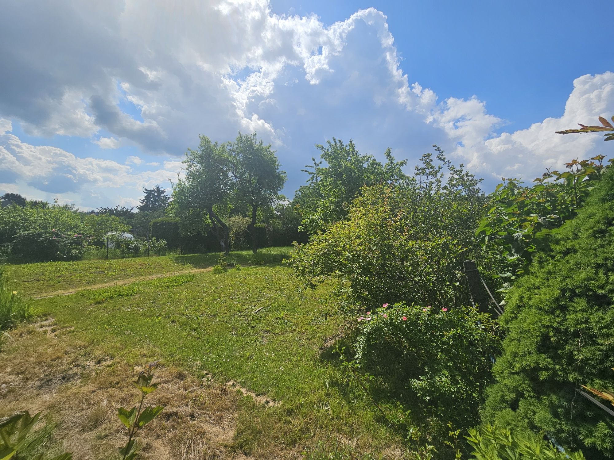 Ogródek Działkowy Rod