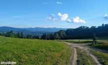 Grunt inwestycyjny o pow. 3,3 ha Dziwiszów -  Karkonosze