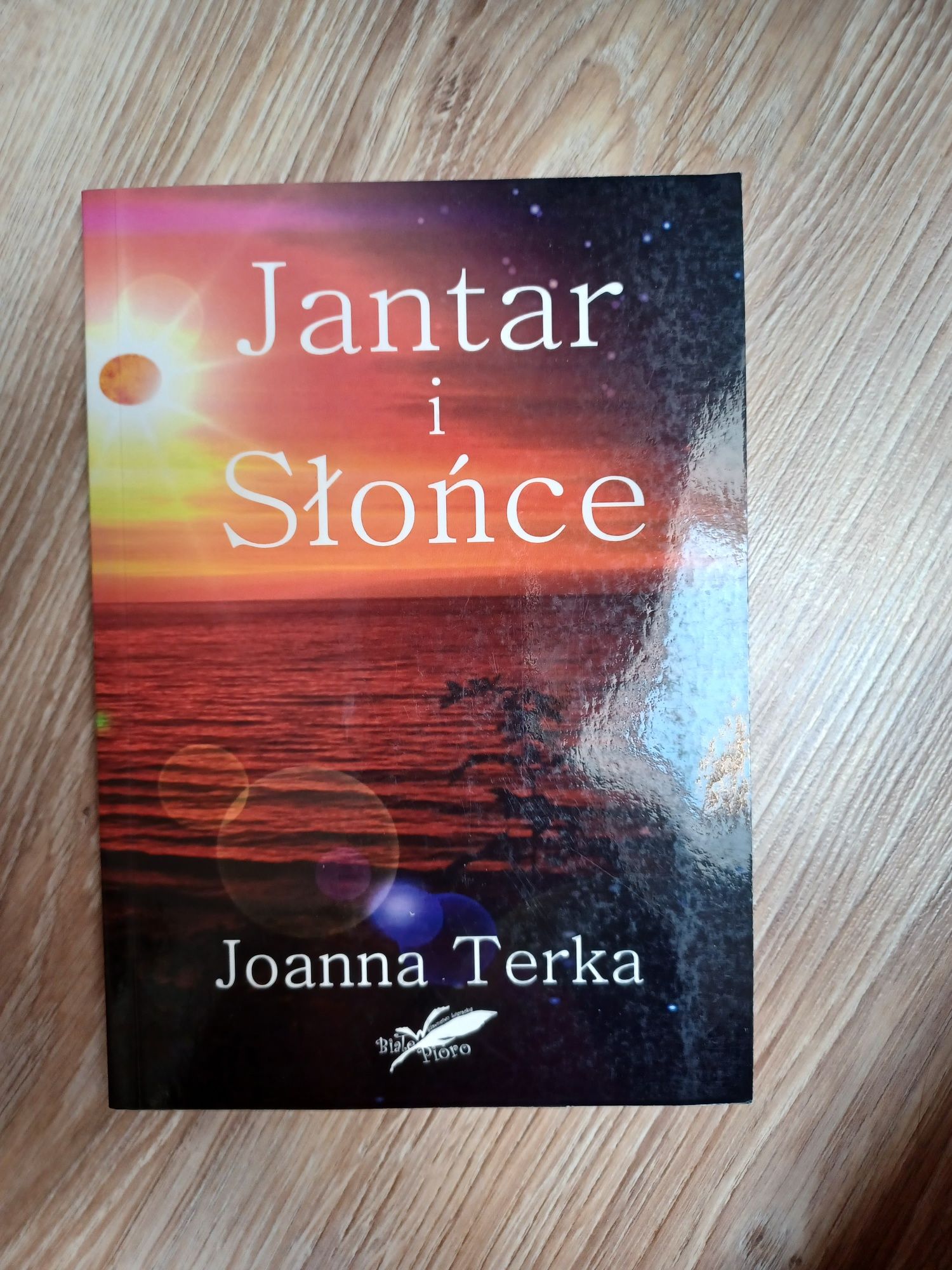 Jantar i słońce Joanna Terka