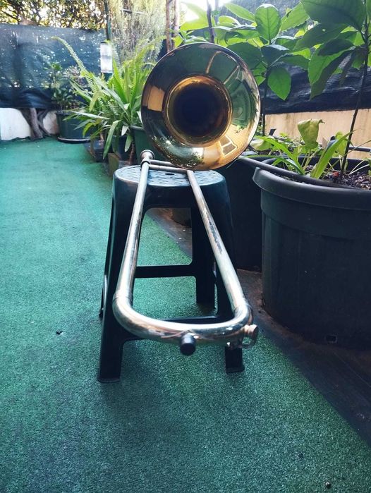 Trombone Tenor Roy Benson TT-242F Usado