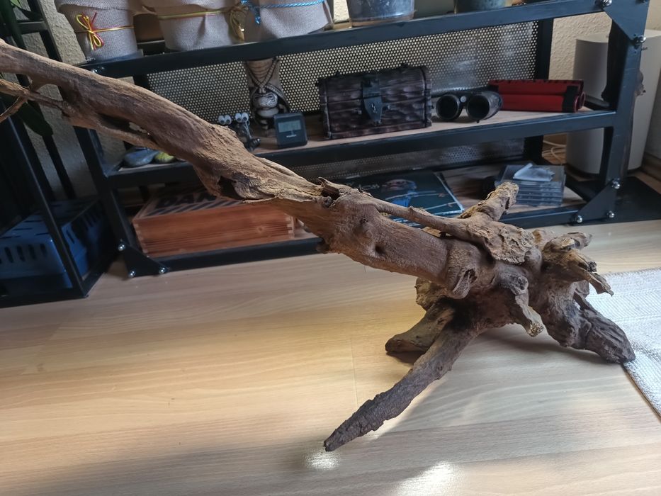 Duży korzeń do akwarium lub terrarium