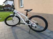 Rower RockRider ST100